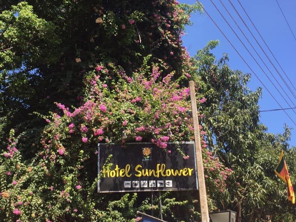 Hotel Sunflower Kataragama Exterior photo